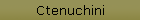 Ctenuchini