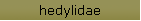 hedylidae