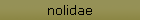 nolidae